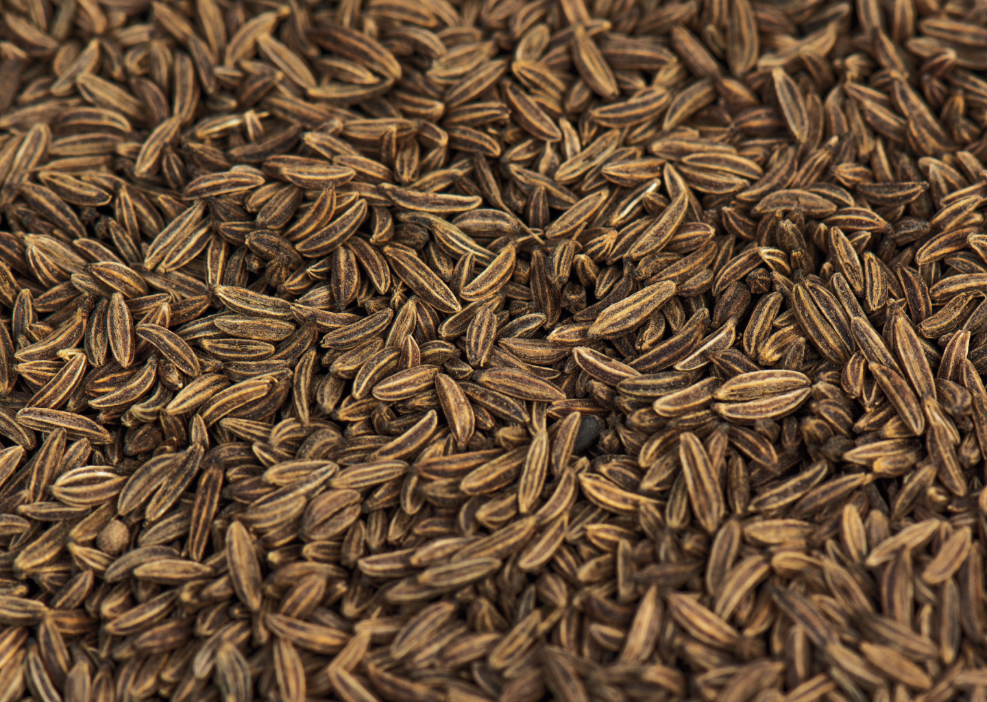 Caraway Seeds (Whole)