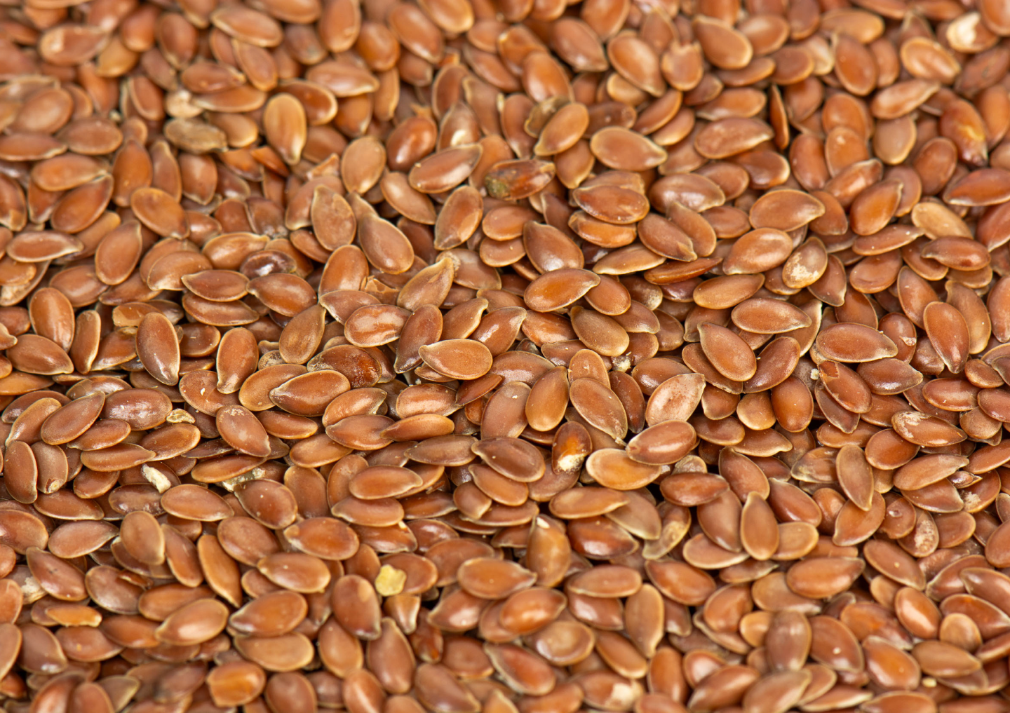 Flax Seeds