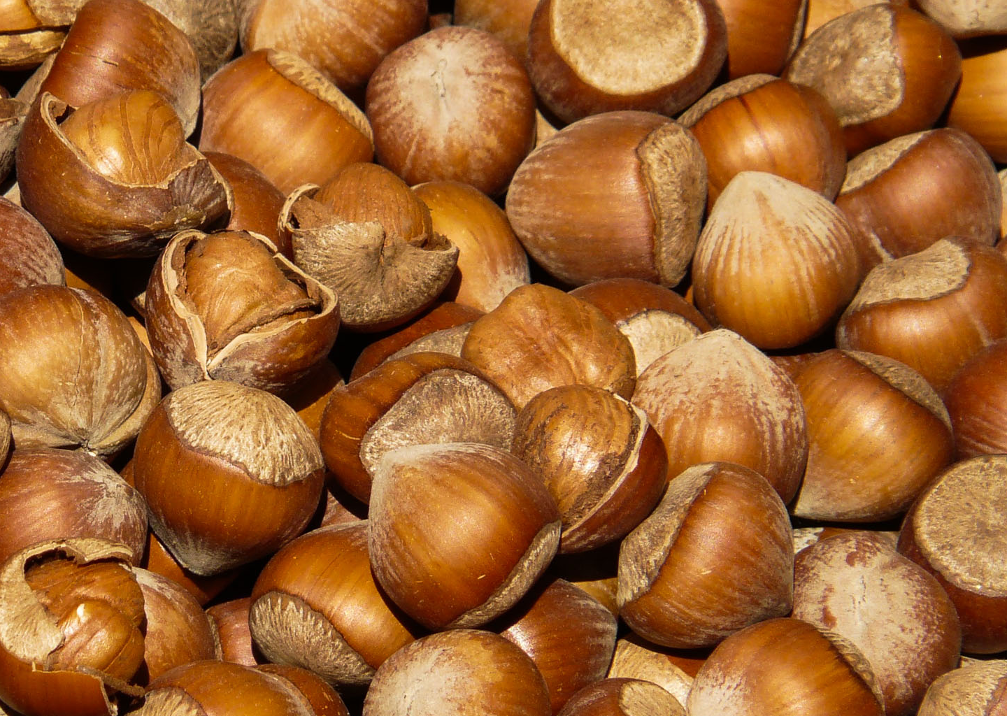 Hazelnuts