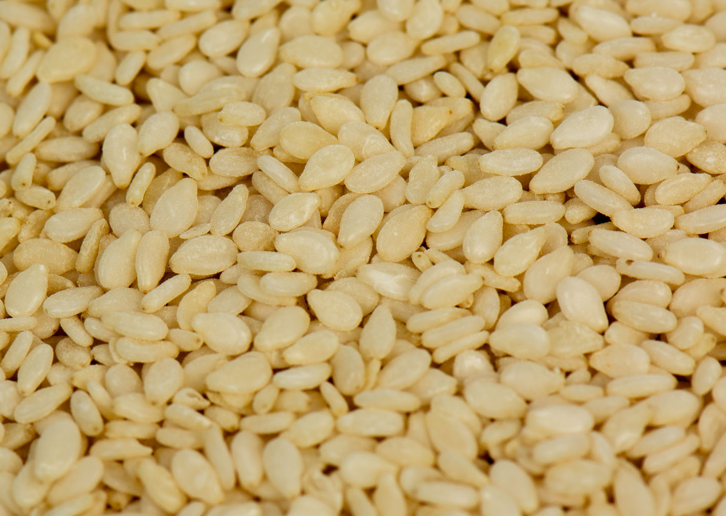 Sesame Seeds (Hulled)