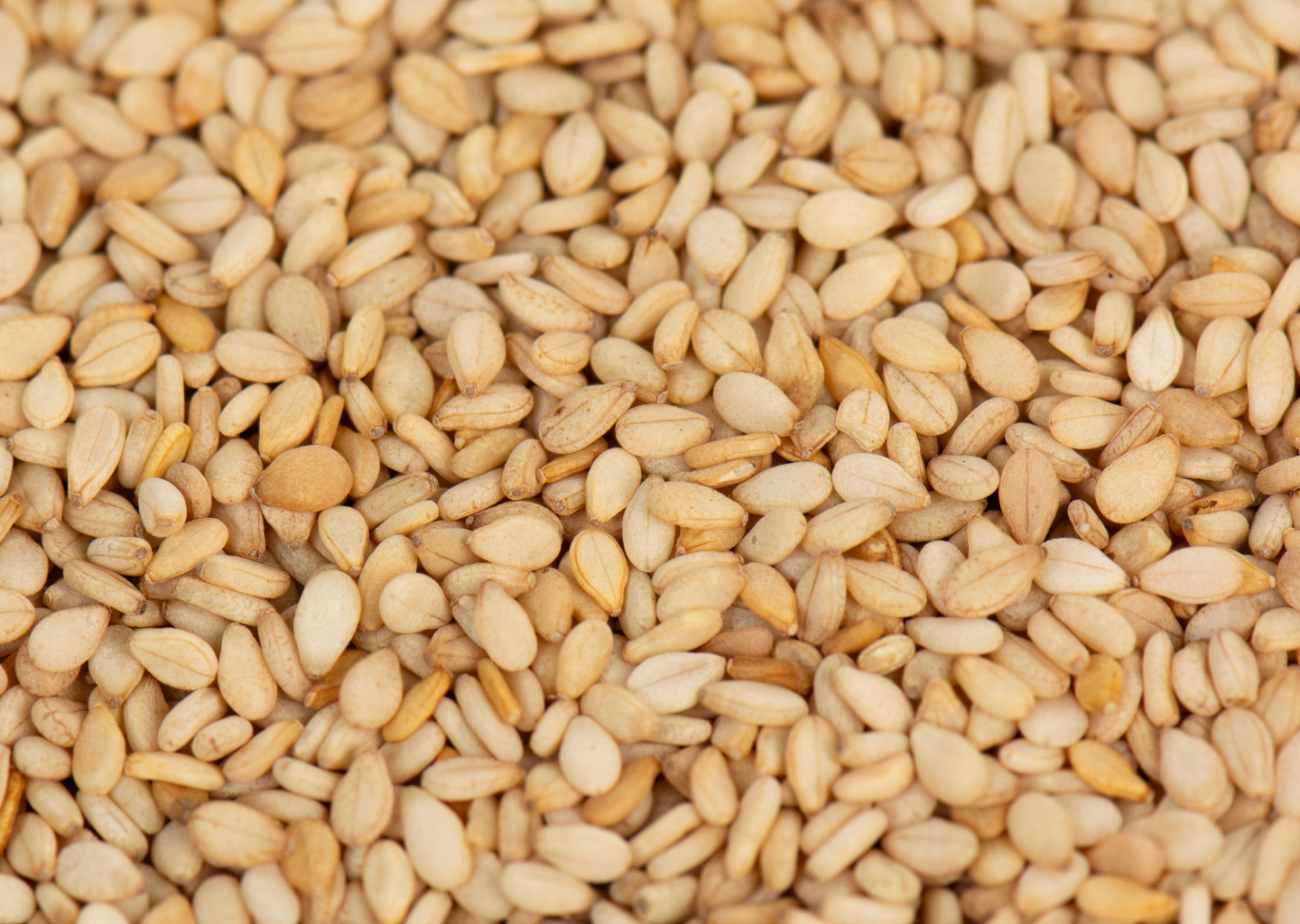 Sesame Seeds (Natural or Toasted)